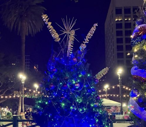 spiral potato tree.jpg